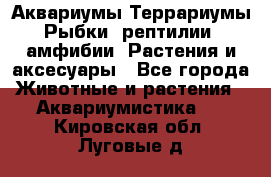 Аквариумы.Террариумы.Рыбки, рептилии, амфибии. Растения и аксесуары - Все города Животные и растения » Аквариумистика   . Кировская обл.,Луговые д.